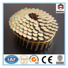 Pallet Coil Nail/Zince Coil Nails /Painted or Polished Coil Nail for pallet